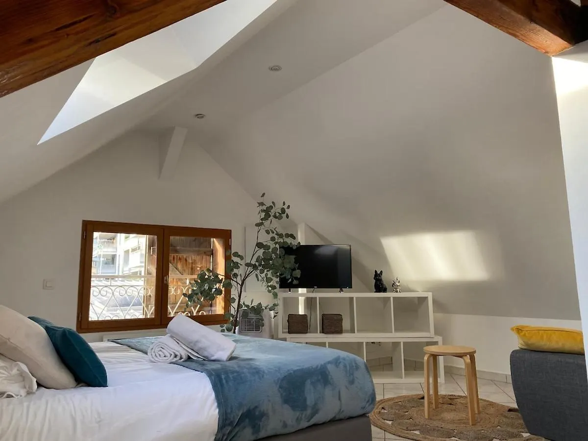 Apartment Le Refuge - intimate and central Annecy